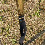 Tent strap and stake securing fabric to grass ground outdoors
